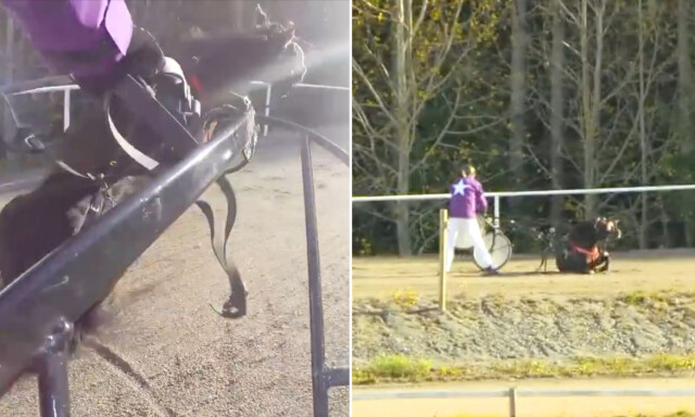 Runar Søgaard og «Zorro» deiset i bakken